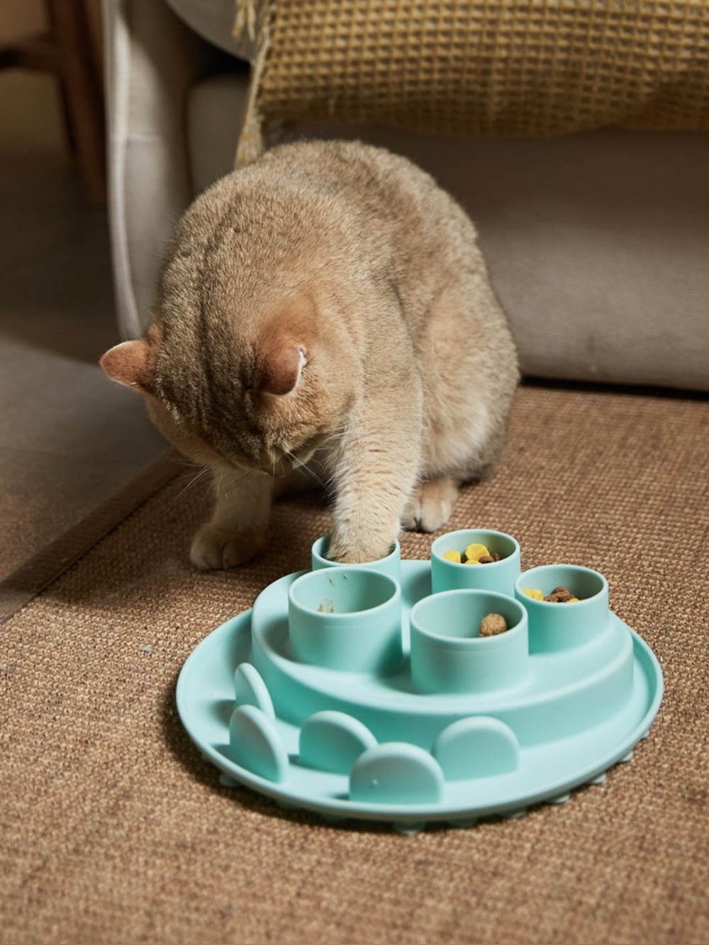 Puzzle Feeder/Digger for Cats